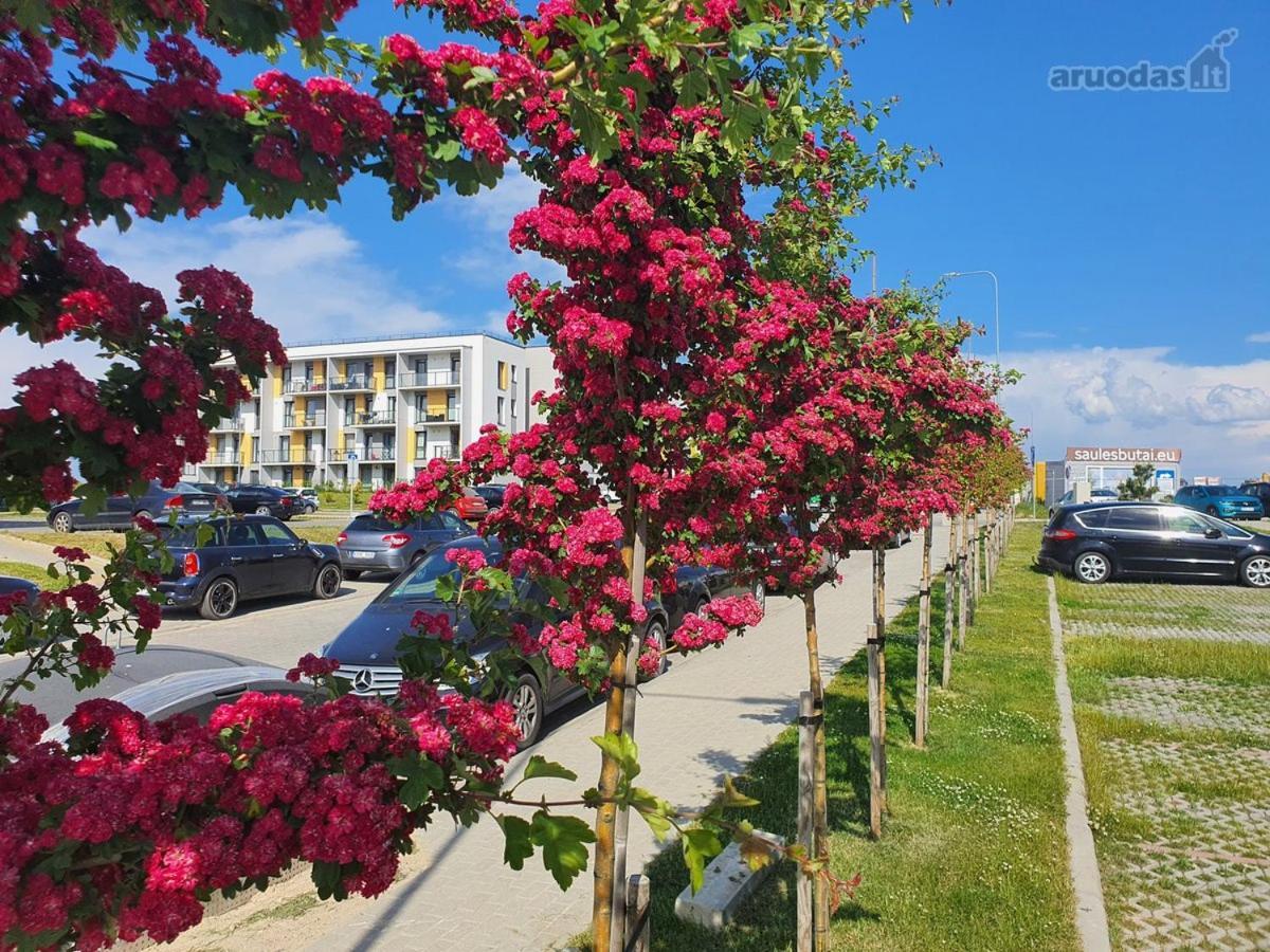 New Studio Free Parking Klaipeda Luaran gambar